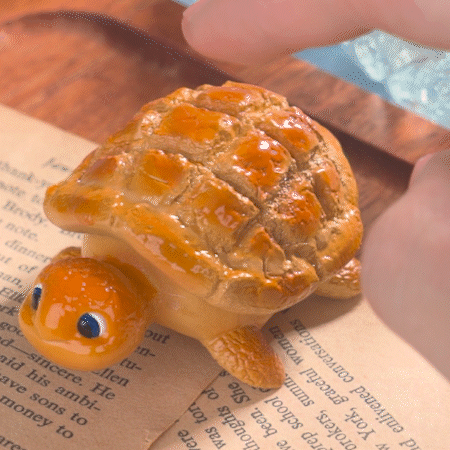 F BunBun the Turtle (Fidget Toy) - Forge Panda Originals