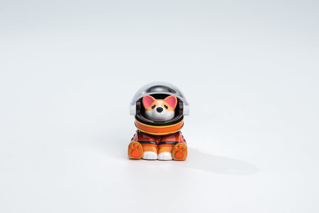 Astro Corgi Front View Shot Version 1