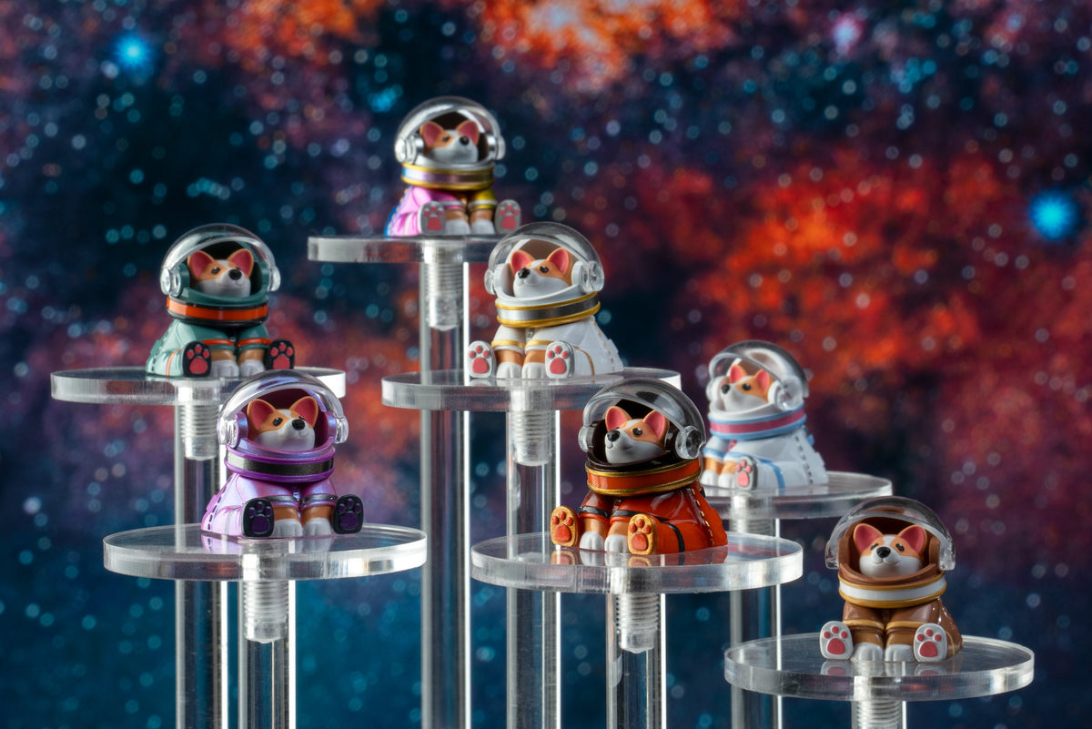 Astro Corgi Group Display Shot Version 1