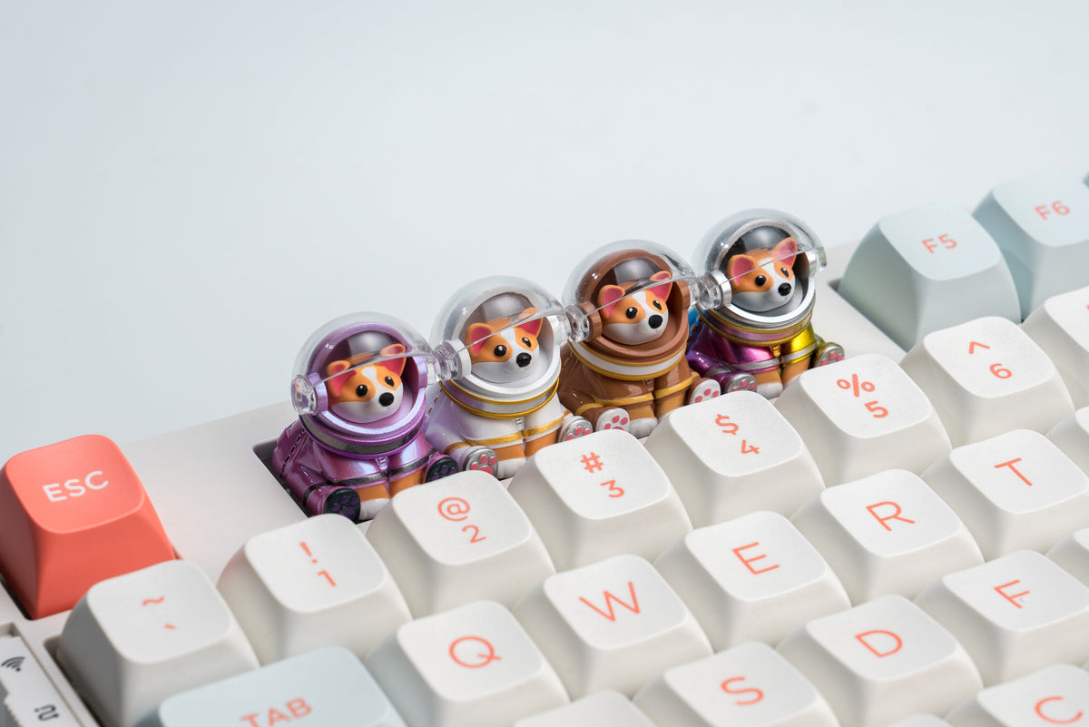 Astro Corgi Group Keyboard Version 4
