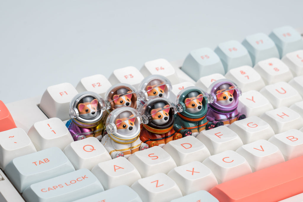 Astro Corgi Group Keyboard Shot