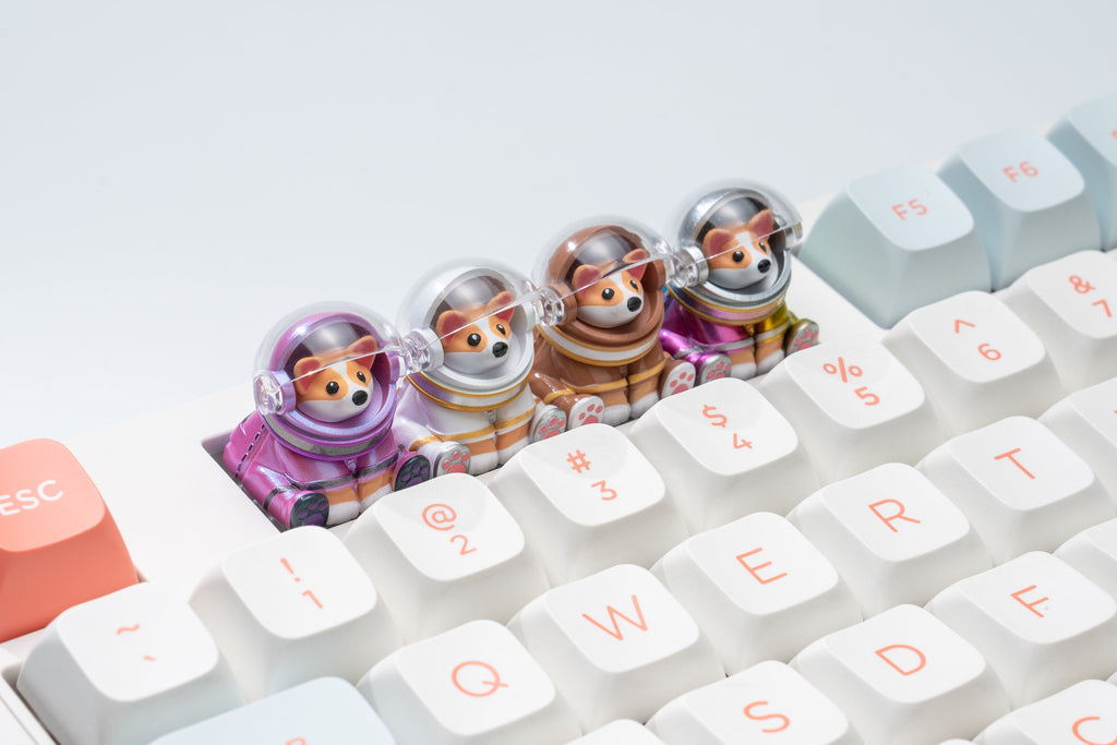 Astro Corgi Group Keyboard Shot Version 2