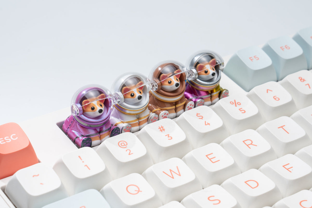 Astro Corgi Group Keyboard Shot Version 2