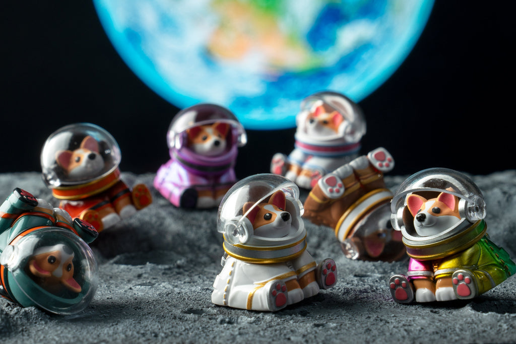 Astro Corgi Group Moon Shot Version 2