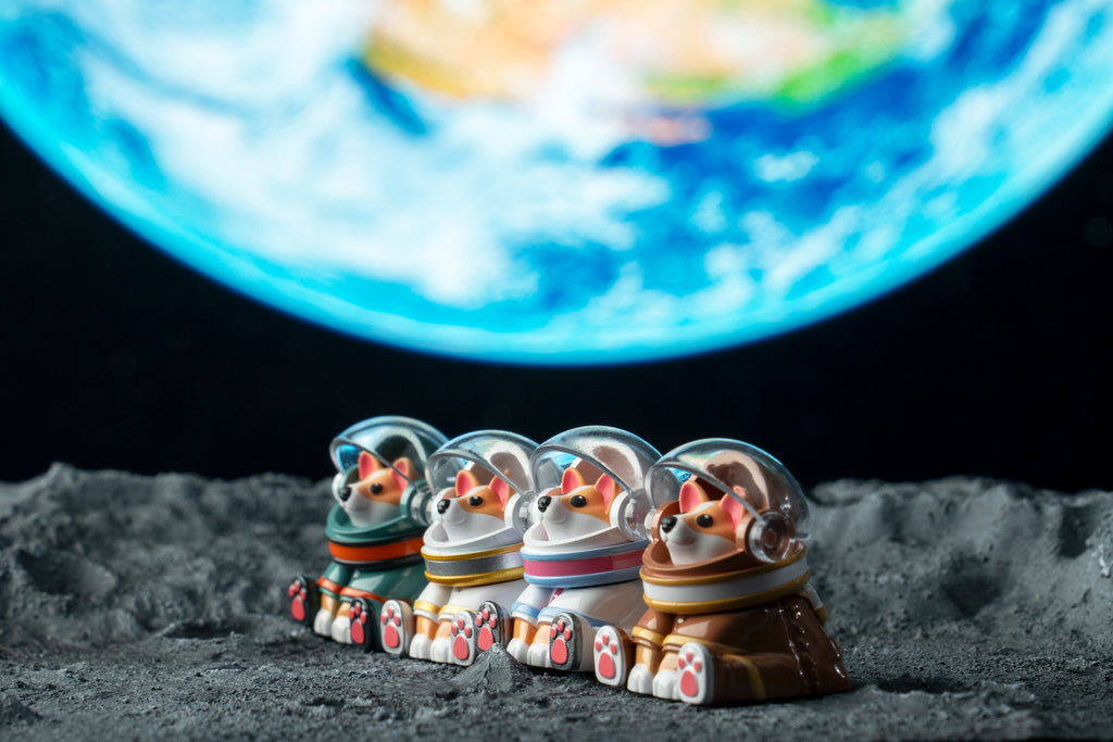 Astro Corgi Group Moon Shot Version 3