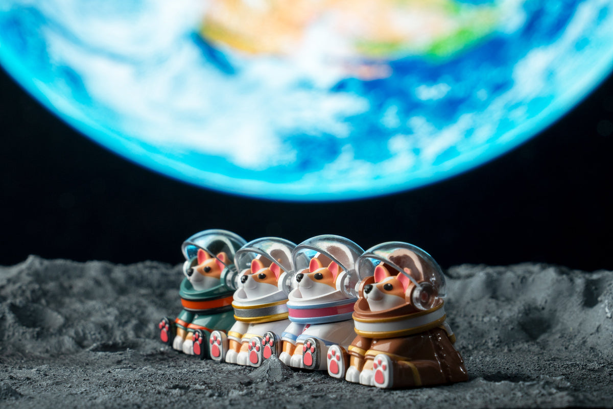 Astro Corgi Group Moon Shot Version 3
