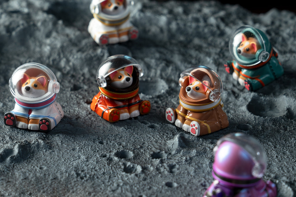 Astro Corgi Group Moon Shot Version 4