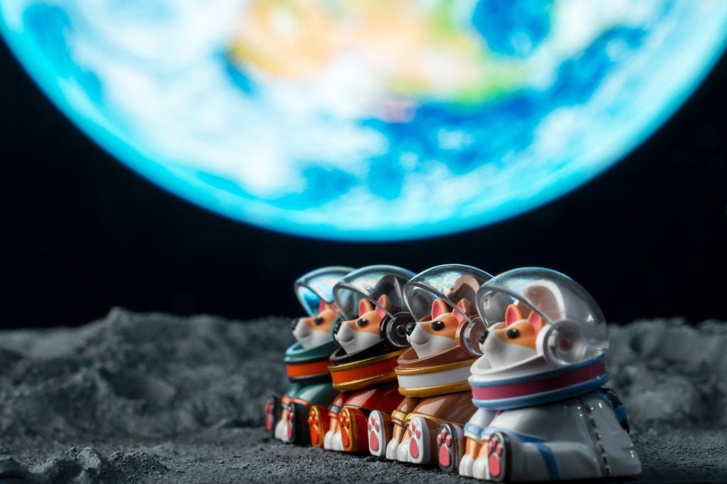 Astro Corgi Group Moon Shot Version 5