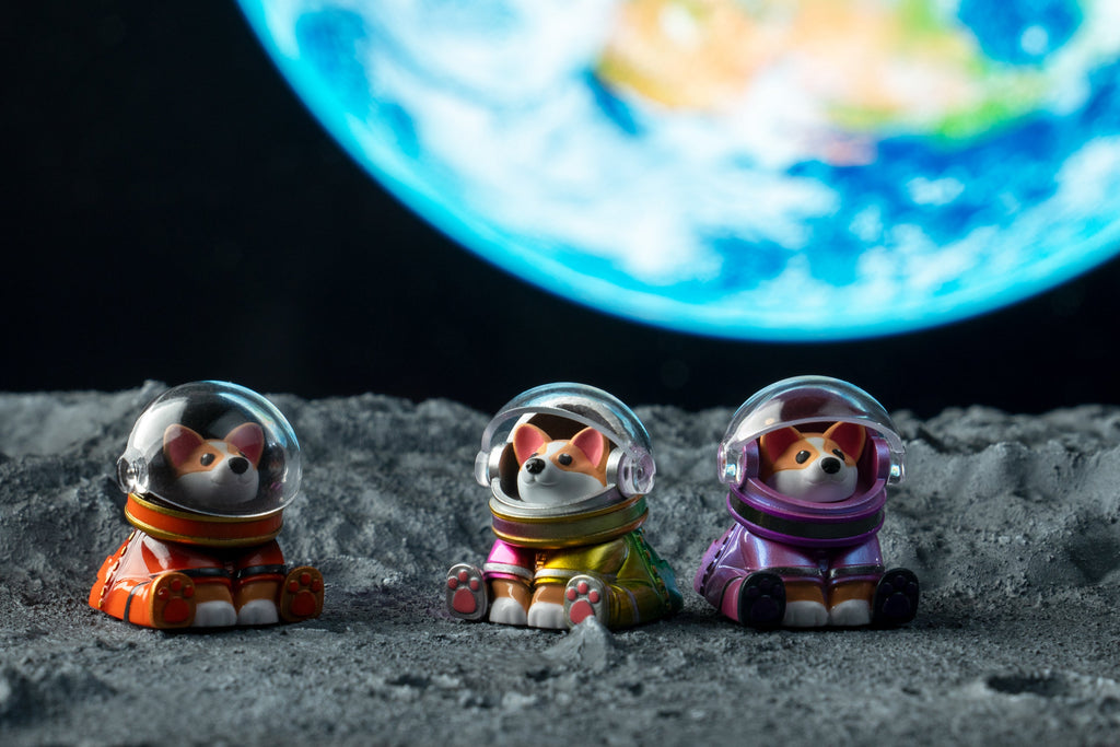 Astro Corgi Group Moon Shot Version 6