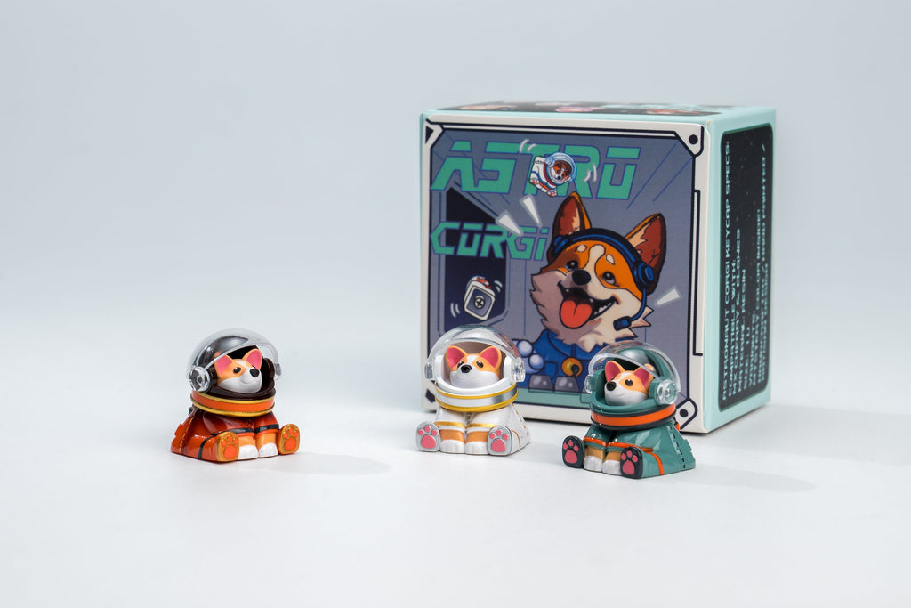 Astro Corgi Packaging Version 1