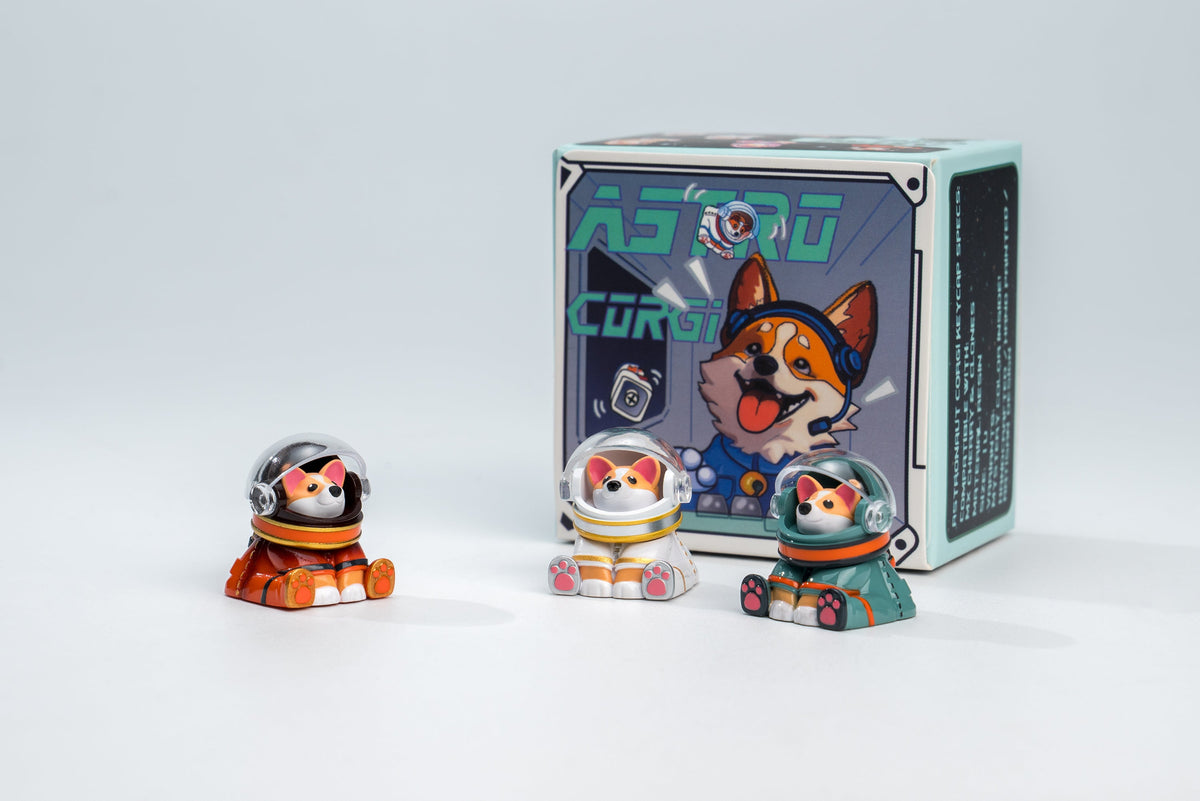 Astro Corgi Packaging Version 1