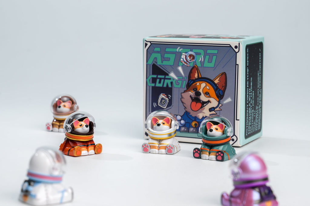 Astro Corgi Packaging Version 2