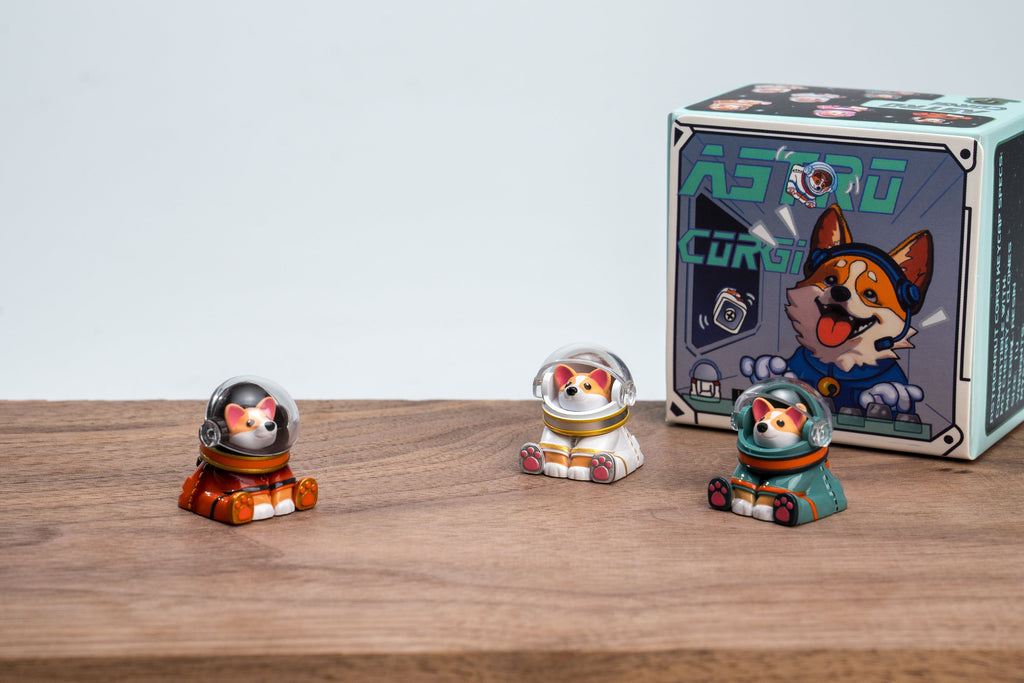 Astro Corgi Packaging Version 3