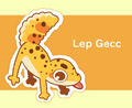 Lep Gecc Sticker