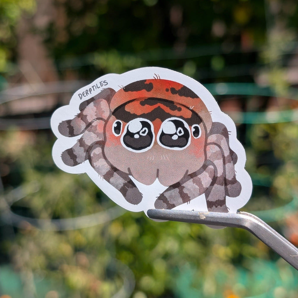 Spider Stickers
