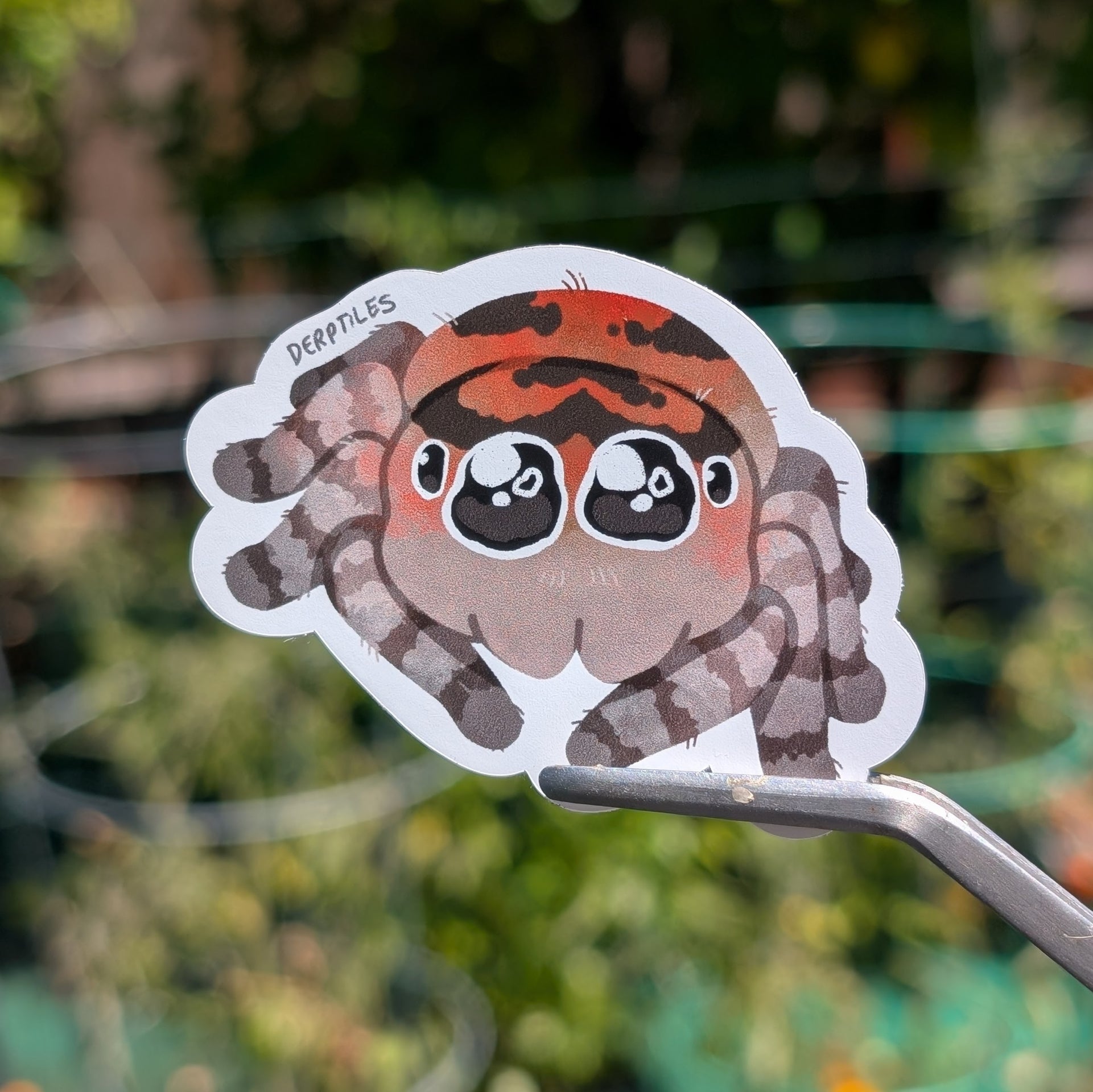 Spider Stickers