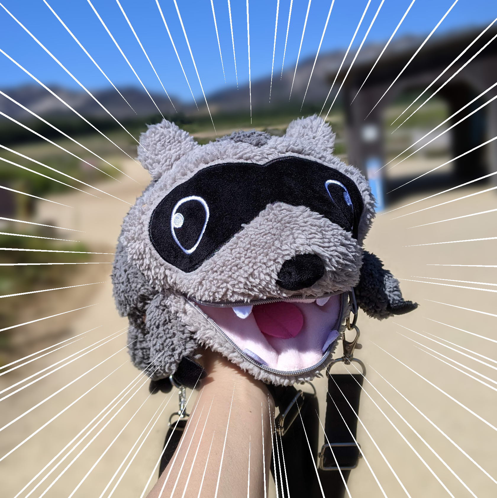Raccoon Plush Bag