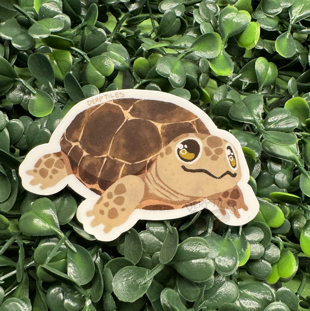 [Pet Reptiles] Series Stickers